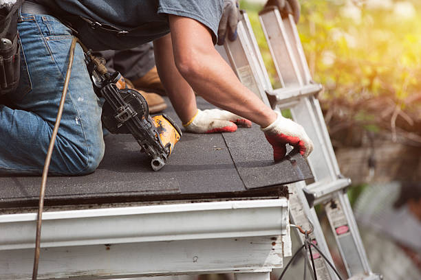 Best Gutter Installation and Roofing  in Sharon Center, OH